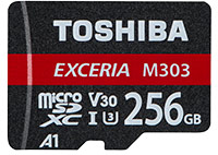 Toshiba Exercia™ M303